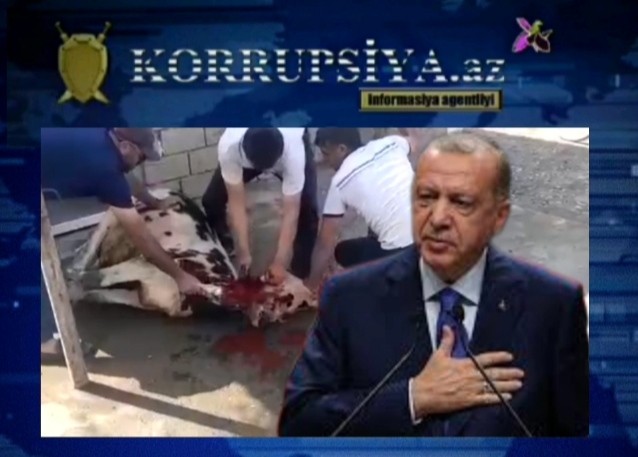 R.T.Ərdoğanın yenidən prezident seçilməsi şərəfinə, Azərbaycanlı iş adamlarından alqışa layiq təşəbbüs