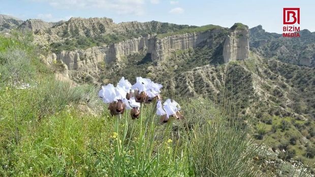 Azərbaycanda Kapadokya ilə müqayisə edilən yeni milli park yaradılır - FOTO