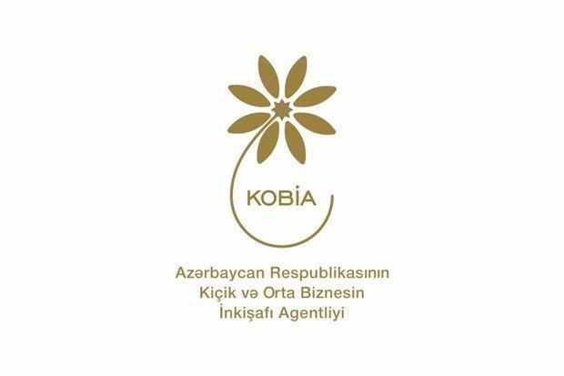 Biznes subyektləri və potensial sahibkarlar biznes təlimlərindən yararlanıblar