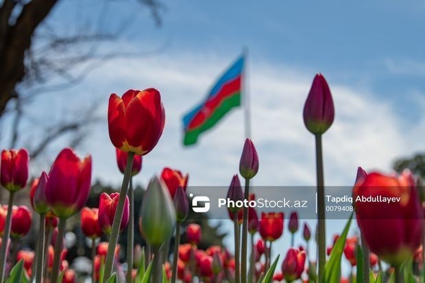Sabah 27 dərəcə isti olacaq - PROQNOZ