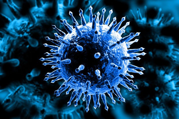 Yeni virus pandemiyaya səbəb ola bilər - TƏHLÜKƏ 