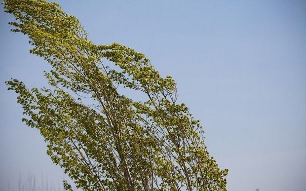 Bakıda və rayonlarda külək güclənəcək, yağış yağacaq, çaylardan sel keçəcək - XƏBƏRDARLIQ