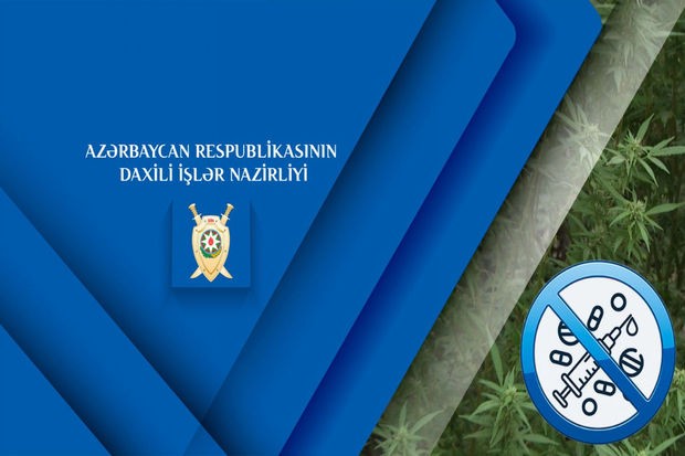 Sabunçuda narkoplantasiya aşkarlanıb - FOTO/VİDEO