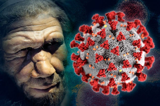 Neandertal insanın sümüklərində tapılan qədim viruslara yeni həyat veriləcək