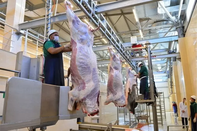 Qurban bayramı günlərində heyvanların satışı və kəsimi xidmətləri göstəriləcək ünvanlar açıqlanıb