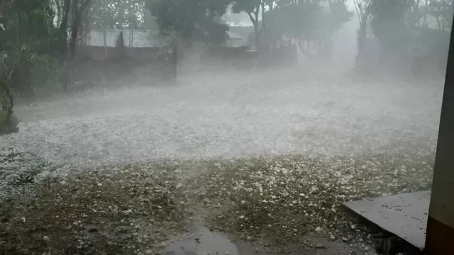 Qaxda dolu meyvə ağaclarına və təsərrüfatlara ziyan vurdu