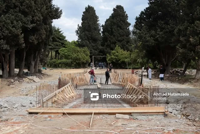 Mərkəzi Nəbatat və Mərdəkan Dendroparkının yenidən açılacağı vaxt bəlli oldu