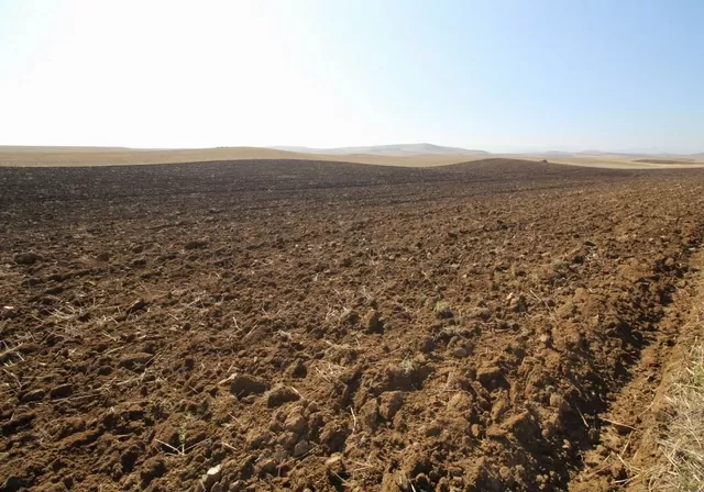 Naxçıvanda bir sıra bələdiyyə torpaqları satışa çıxarılır