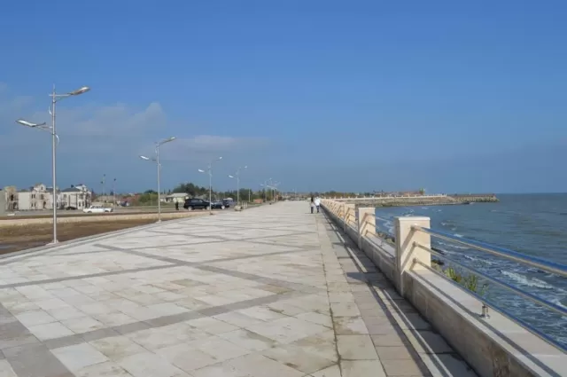 Bulvarda it yaşlı kişiyə hücum etdi