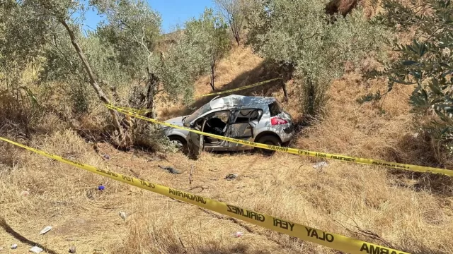 Türkiyədə iti vurmamaq üçün ani manevr edən sürücü iki nəfərin ölümünə səbəb oldu