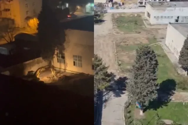 Yasamalda ağaclar MƏHV EDİLİB - Təbiətə 117 min manat ziyan vurulub