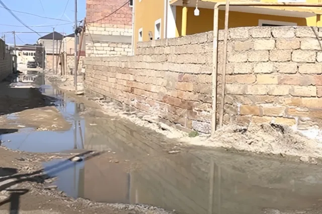 Masazırda heyvan qanı kanalizasiya suyuna qarışaraq küçəyə axır