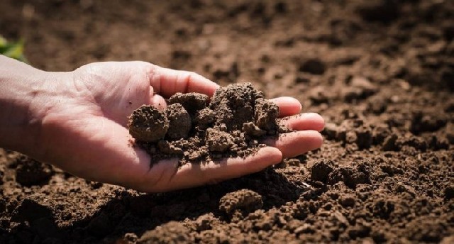 Azərbaycanda növbəti torpaq hərracı elan edilib