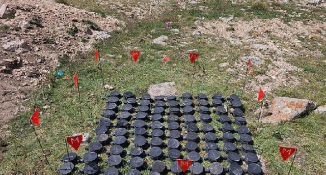 Ötən həftə 1315 hektar ərazi minalardan təmizlənib