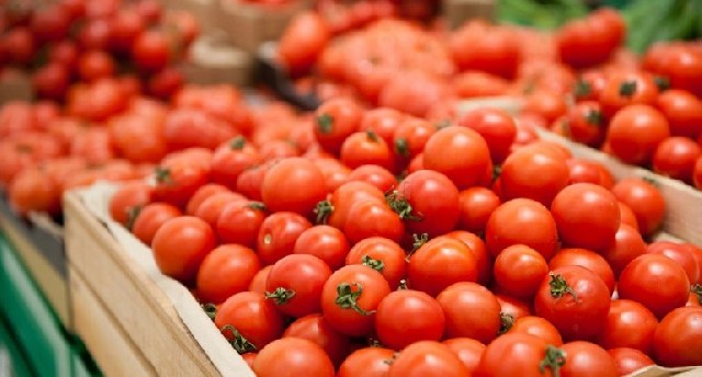 Türkiyədən Rusiyaya gətirilmiş 20 tondan çox pomidor ölkəyə buraxılmayıb