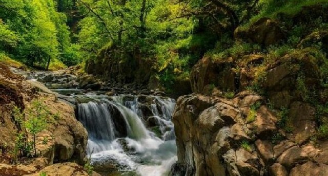 Milli parklar ölkə ərazisinin neçə faizini təşkil edir?