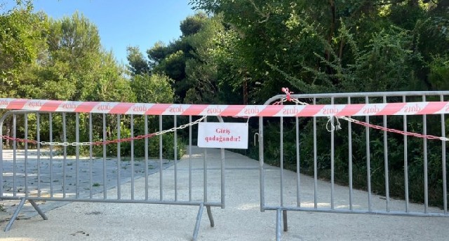 Mərkəzi Nəbatət Bağında uşağı ilan sancmasını "təxribat" adlandırırlar, amma dezinfeksiya işləri də aparırlar - Reportaj