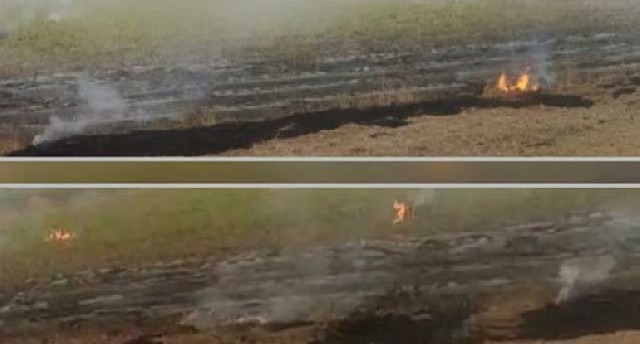 Azərbaycanda yanğın törədənlər məsuliyyətə cəlb olundu